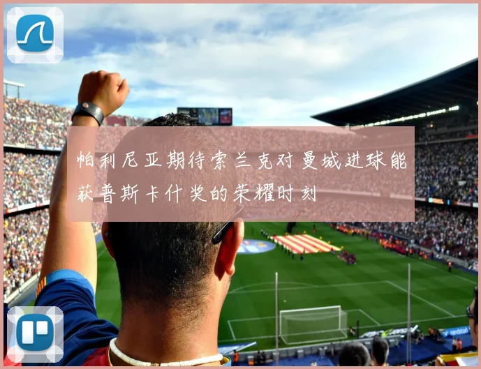 帕利尼亚期待索兰克对曼城进球能获普斯卡什奖的荣耀时刻