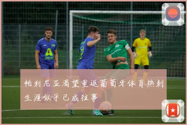 帕利尼亚渴望重返葡萄牙体育热刺生涯似乎已成往事
